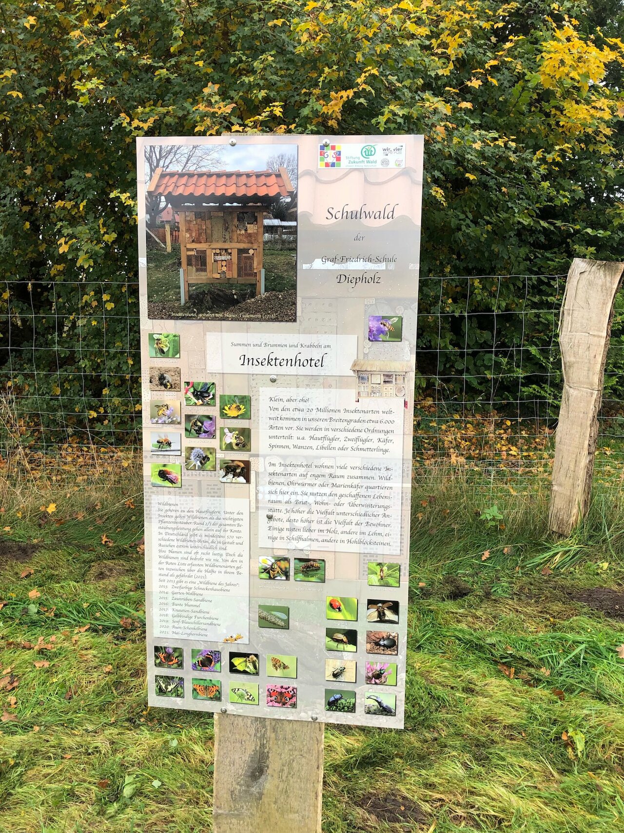 Flächenpool Nr. 14 | Falkenhardt Image 3