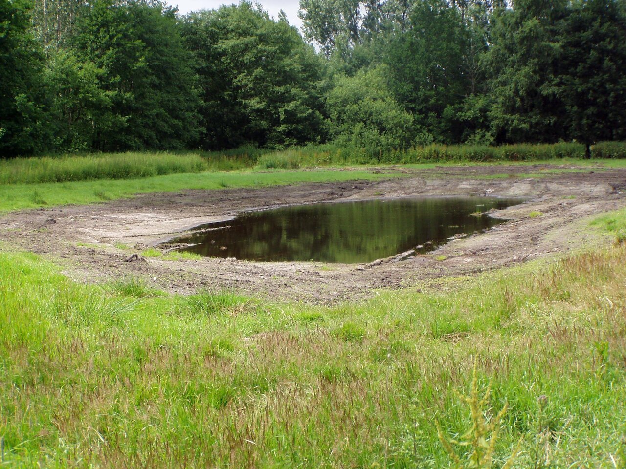 Flächenpool Nr. 3 | Brägel / Alte Raketenstellung Image 3