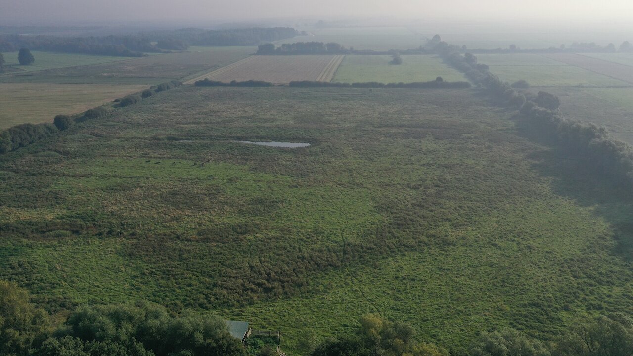Flächenpool Nr. 5 und 20 | Boller Moor Image 3