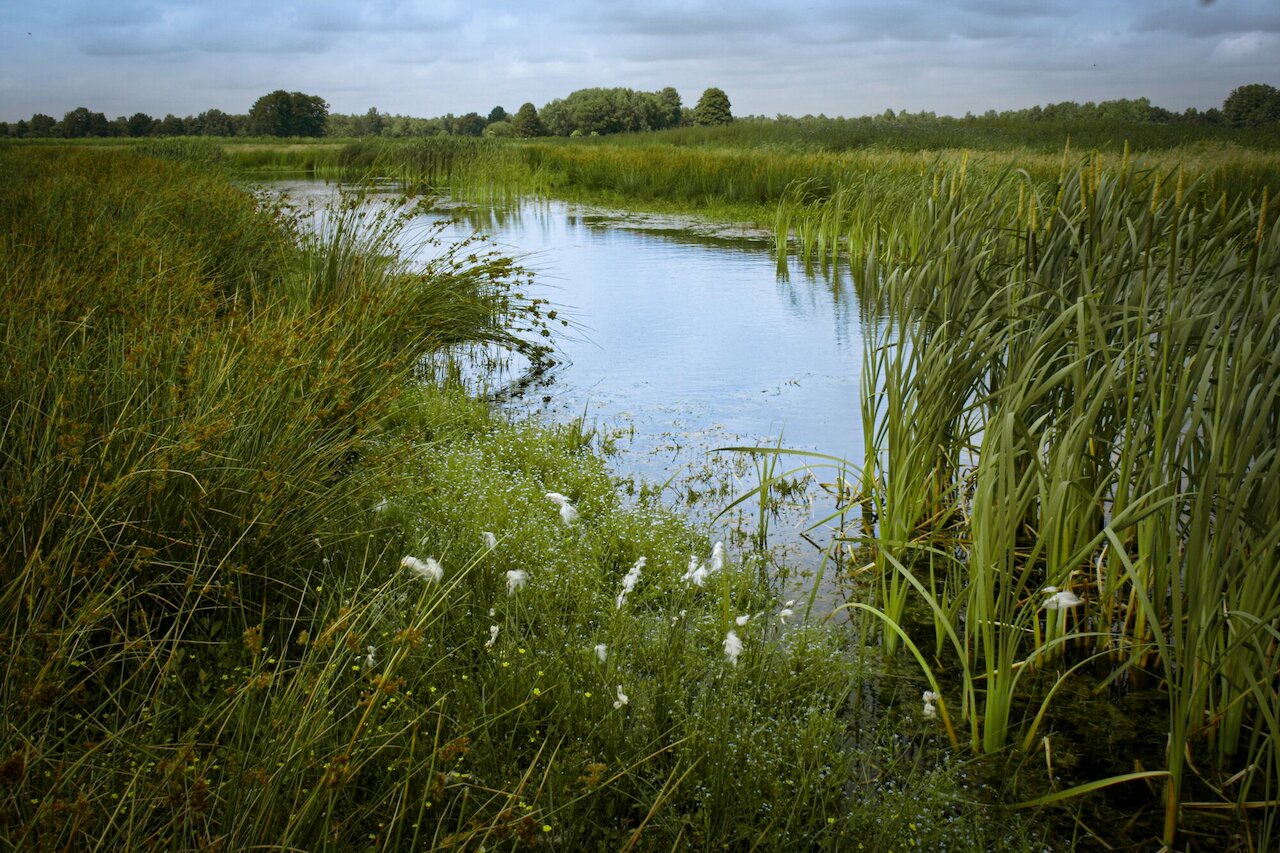 Flächenpool Nr. 7 | Rüschendorf