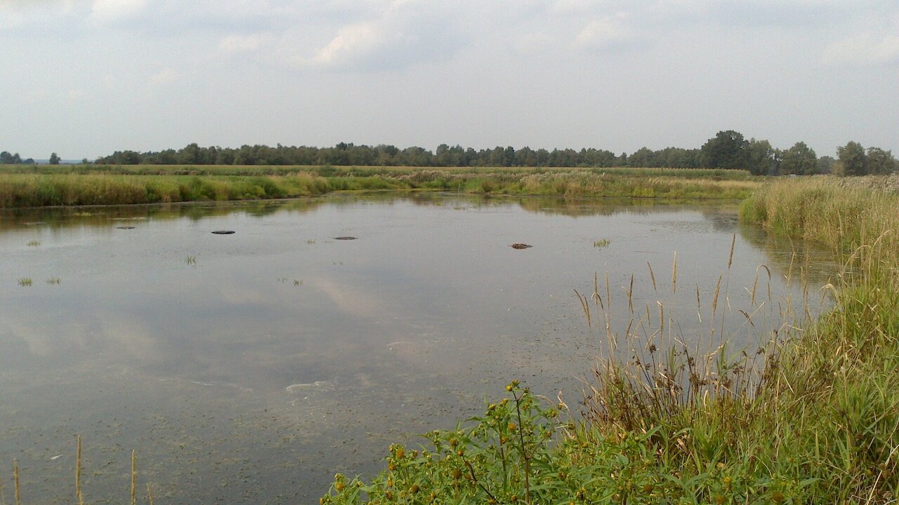 Flächenpool Nr. 7 | Rüschendorf Image 8